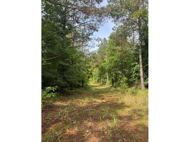 Located just north of Bruce, this 39 acre tract offers a strong - photo 19