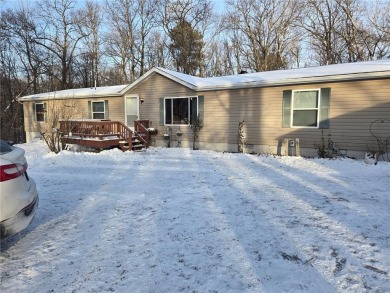 Lake Home For Sale in Turtle Lake Twp, Minnesota