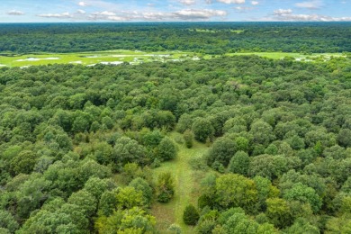 Rare Lake Fork Land in Hopkins County - Build a Hunting Retreat! - photo 17