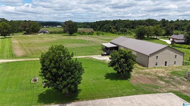 Located on 13+/- acres just south of Southside, this beautiful - photo 11