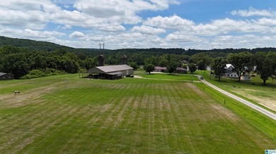 Located on 13+/- acres just south of Southside, this beautiful - photo 12
