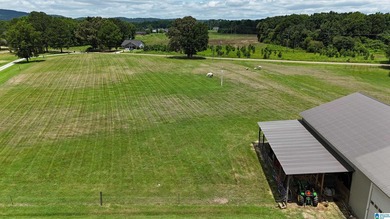 Located on 13+/- acres just south of Southside, this beautiful - photo 13
