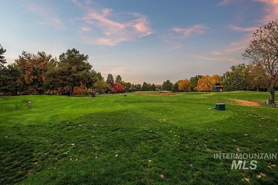Residential development opportunity ON THE BOISE RIVER! A - photo 4