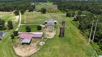 Located on 13+/- acres just south of Southside, this beautiful - photo 16