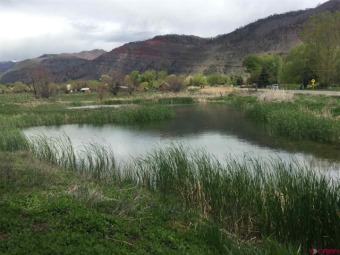 Animas River Commercial For Sale in Durango Colorado