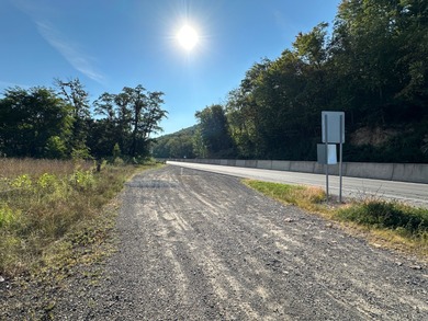 Susquehanna River - Clinton County Acreage For Sale in Williamsport Pennsylvania