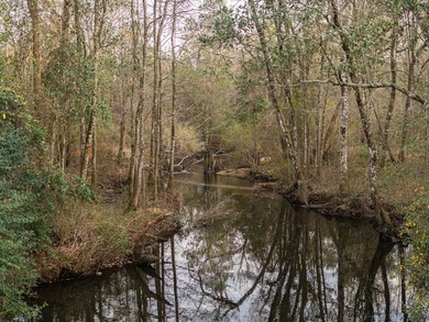 This rare waterfront tract offers an exceptional combination of - photo 3