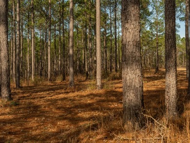This rare waterfront tract offers an exceptional combination of - photo 5