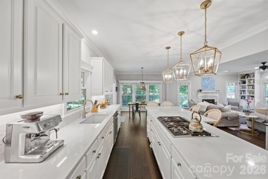 Rare opportunity to own an extensively updated home built on one - photo 16