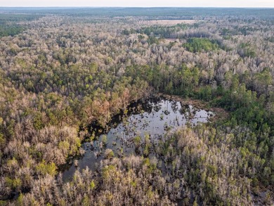 This rare waterfront tract offers an exceptional combination of - photo 6