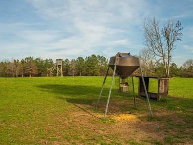 This rare waterfront tract offers an exceptional combination of - photo 7