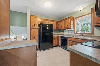 MOTIVATED SELLER!! Wake up to stunning east-facing views of Sauk - photo 17