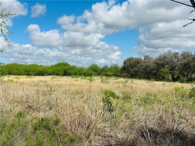 Lake Corpus Christi Acreage For Sale in Mathis Texas