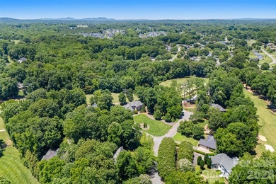 Rare opportunity to own an extensively updated home built on one - photo 45