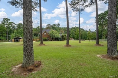 This beautifully updated brick home sits on nearly 3 acres in - photo 4