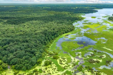 Rare Lake Fork Land in Hopkins County - Build a Hunting Retreat! - photo 19