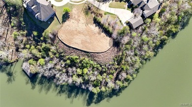 Rare opportunity to have this much water frontage on Lake - photo 5