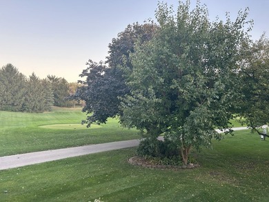 Amazing Stonebridge home on the Golf Course with full finished - photo 27