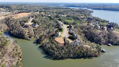 Rare opportunity to have this much water frontage on Lake - photo 9