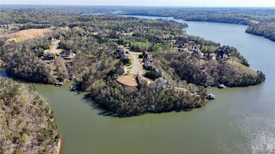 Rare opportunity to have this much water frontage on Lake - photo 10
