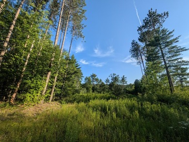 Soil tested and buildable, this scenic one-acre lot in - photo 1