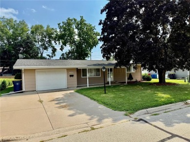 Lake Home For Sale in Lake City, Minnesota