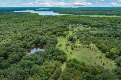 Rare Lake Fork Land in Hopkins County - Build a Hunting Retreat! - photo 1