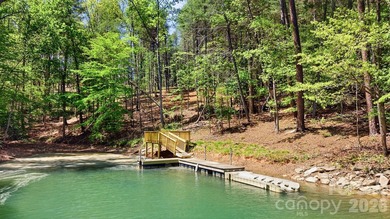 Long-range water views and a fully equipped dock setup make this - photo 8
