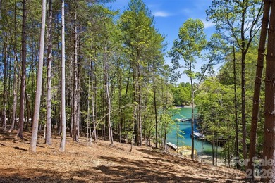 Long-range water views and a fully equipped dock setup make this - photo 10