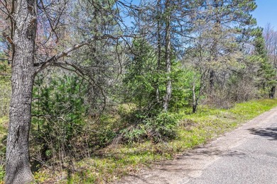 Bring your Northwoods dreams to life on this 1.12-acre buildable - photo 12