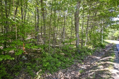 Rare opportunity to own 5 private acres in York with extensive - photo 13