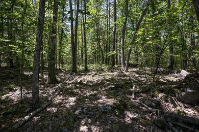 Rare opportunity to own 5 private acres in York with extensive - photo 15