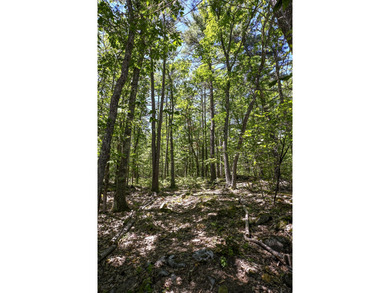 Rare opportunity to own 5 private acres in York with extensive - photo 16