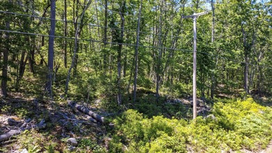 Rare opportunity to own 5 private acres in York with extensive - photo 17