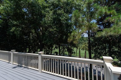 Welcome home to 25 Ocean Green Drive in the heart of Vanderhorst - photo 33