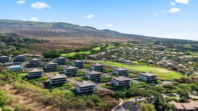 La'i Loa Luxury with Outstanding Ocean View! Wailea's Newest - photo 47