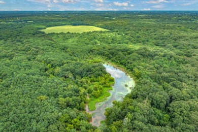 Rare Lake Fork Land in Hopkins County - Build a Hunting Retreat! - photo 18