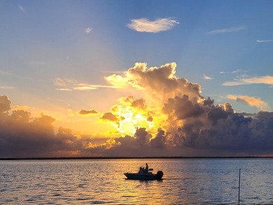 Dolphinus del Sol is a Waterfront Estate Masterpiece! Enjoy this - photo 12