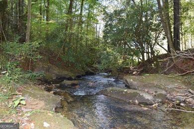 (private lake, pond, coastal) Acreage For Sale in Ellijay Georgia