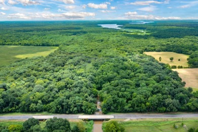 Rare Lake Fork Land in Hopkins County - Build a Hunting Retreat! - photo 5