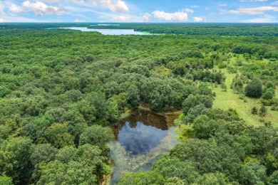 Rare Lake Fork Land in Hopkins County - Build a Hunting Retreat! - photo 12