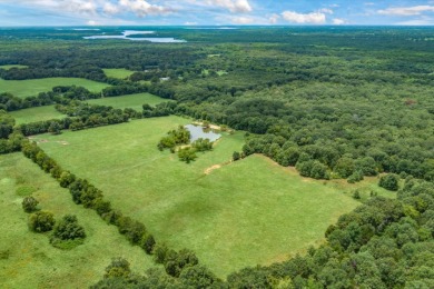 Rare Lake Fork Land in Hopkins County - Build a Hunting Retreat! - photo 3