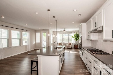 Priced to sell this better than new, move-in ready, light filled - photo 8