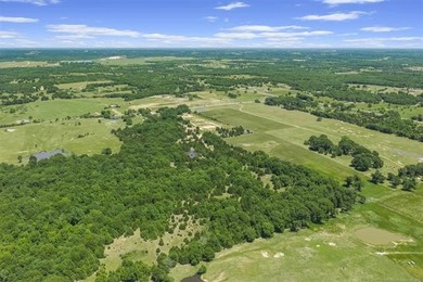 40 Acres with close access to Hwy 3. Land is partially wooded - photo 14