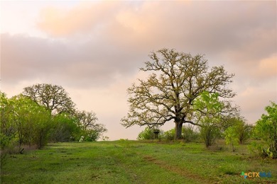 The Post Oak Ranch is a stunning 186.5 +/- acre property nestled - photo 18