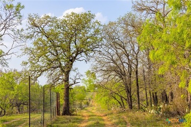 The Post Oak Ranch is a stunning 186.5 +/- acre property nestled - photo 19