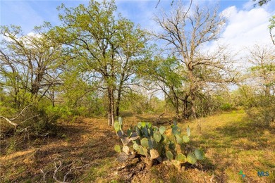 The Post Oak Ranch is a stunning 186.5 +/- acre property nestled - photo 20