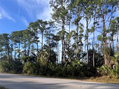 Port Charlotte Waterway Area Lot For Sale in Port Charlotte Florida