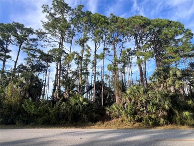 Tamiami Trail, Chamberlain - photo 2