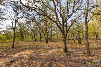 The Post Oak Ranch is a stunning 186.5 +/- acre property nestled - photo 22